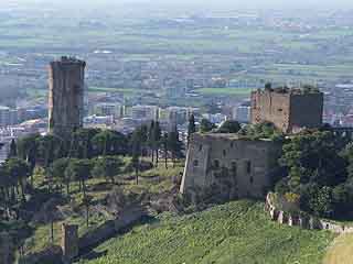  Campania:  カゼルタ:  イタリア:  
 
 マッダローニ